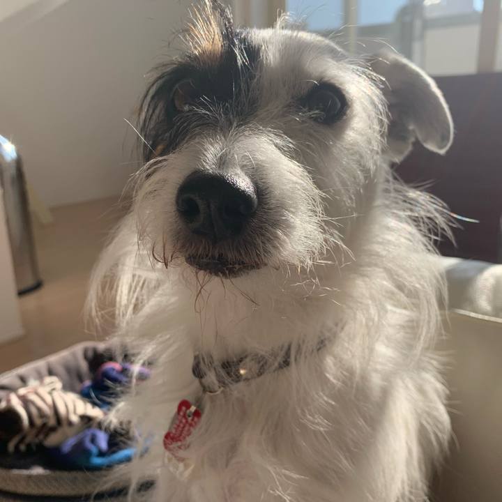 E59ca873 97e9 4b9e 8260 553dde34a45c 1701926266218