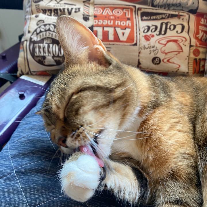 E59ce352 e489 4b76 ba71 b704f26fb8bc 1588139360871