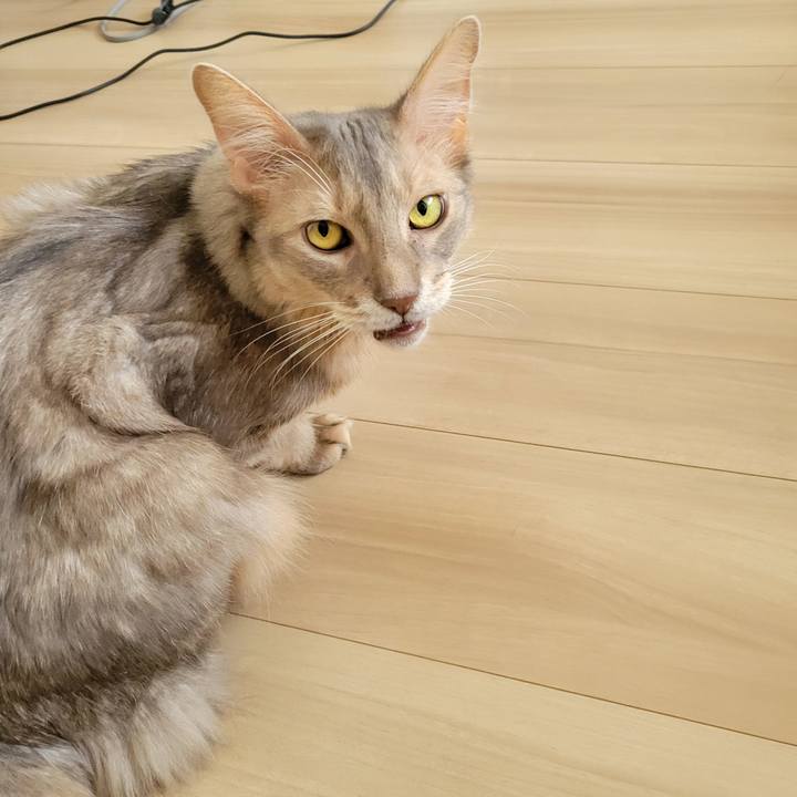 E59cfa62 079a 42bd b96d 30ca5cdcd0a4 1667020478964