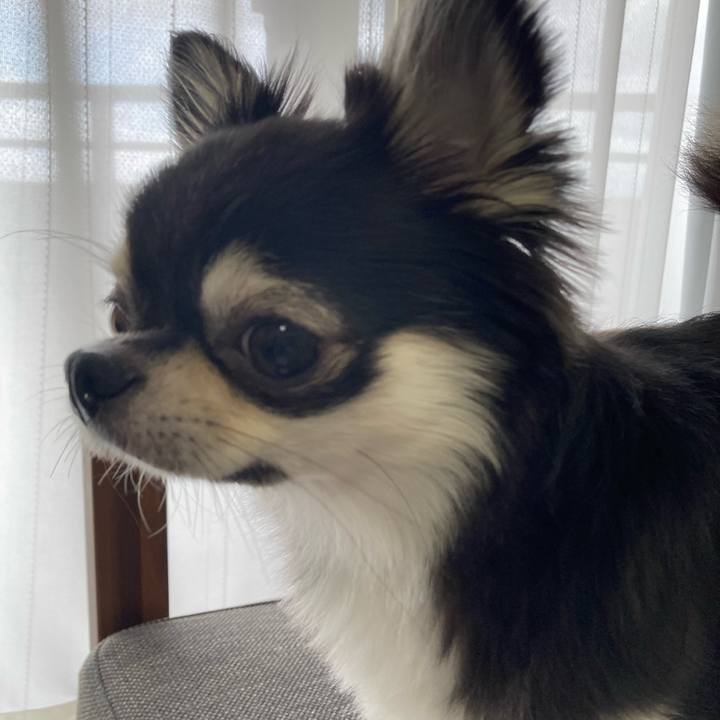 E59d3493 42cf 4427 ba08 955cd8eaad65 1627098359364