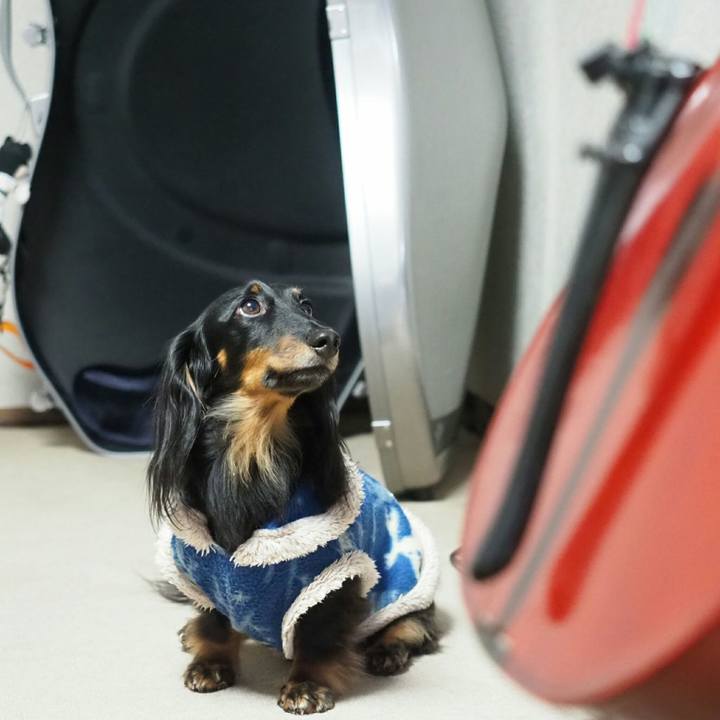 E59d4274 4bf2 4be2 877f 023c8d615cab 1549161729899