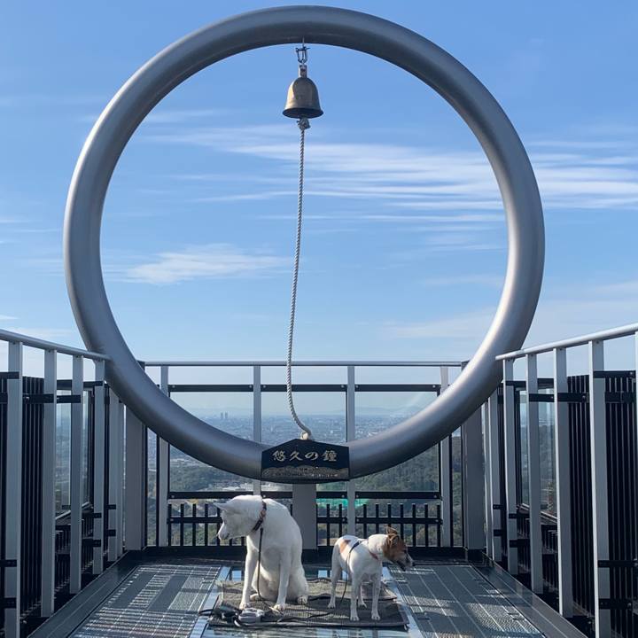 E59d574c 61a2 407c 97cb 5213a05a0c39 1546259493904