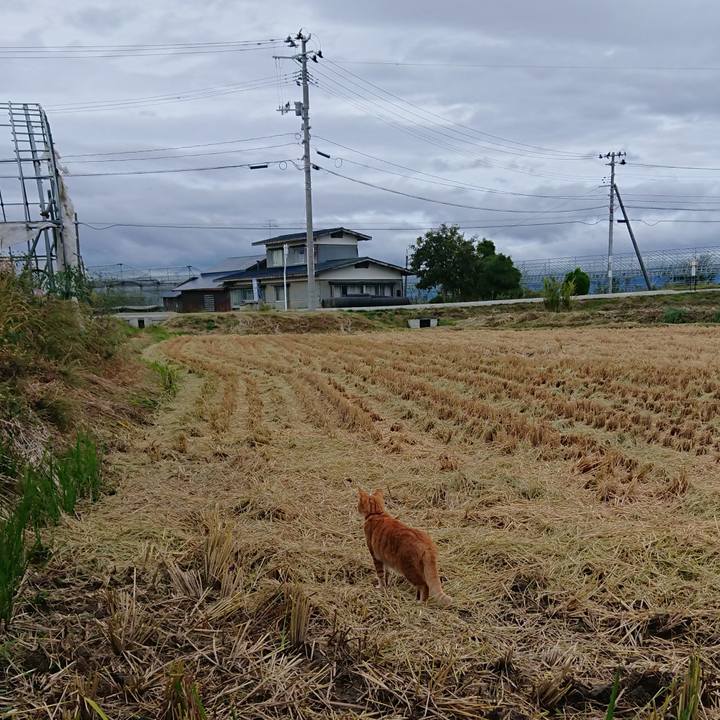 E59d9371 6c74 4511 a4c8 cad4d52e0058 1602316537252