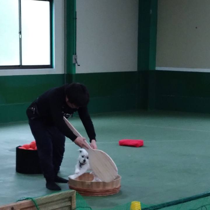 E59dd608 93af 492c ae9e f21234e2cac6 1681543817683