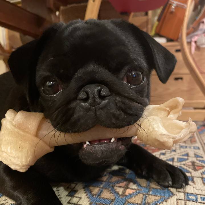 E59e1812 2f83 433c a44d d2bf1e85c726 1618140720972