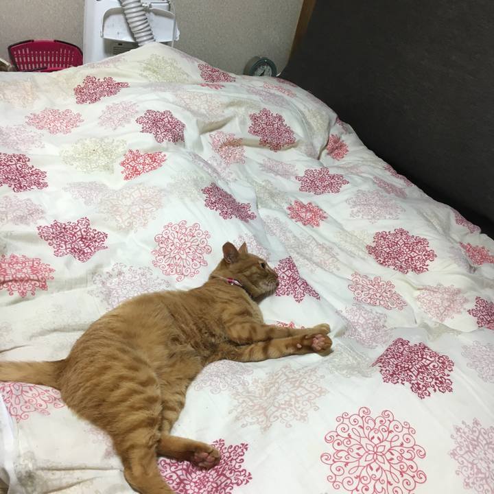 E59e276d 79cf 4e73 a655 4563a087c9e0 1507957869636