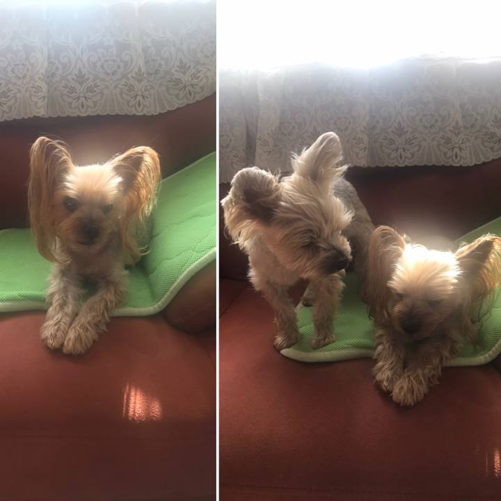 E59e5893 15fd 4ae5 ab90 1d218e92178d 1587028964905