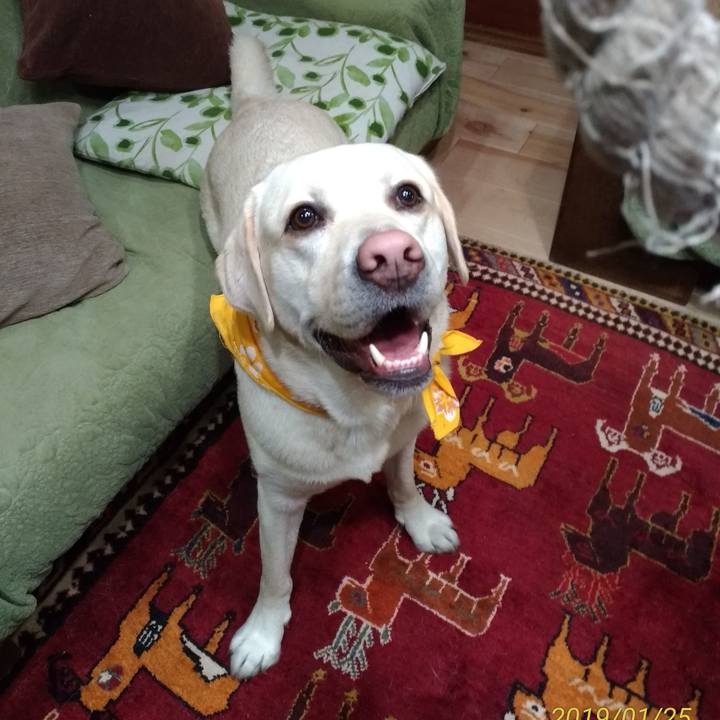 E59e5eaf d99f 4950 a42a 0bfe55424c86 1548417531999