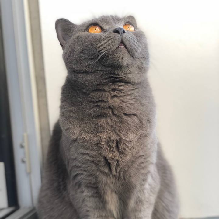 E59e85be a3fc 41b2 9bf0 85cd168d580e 1513123055129