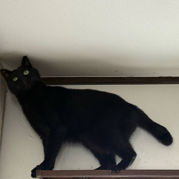 E59e86e1 1a78 41b5 86a3 c6aaa6a42fbd 1760246631953