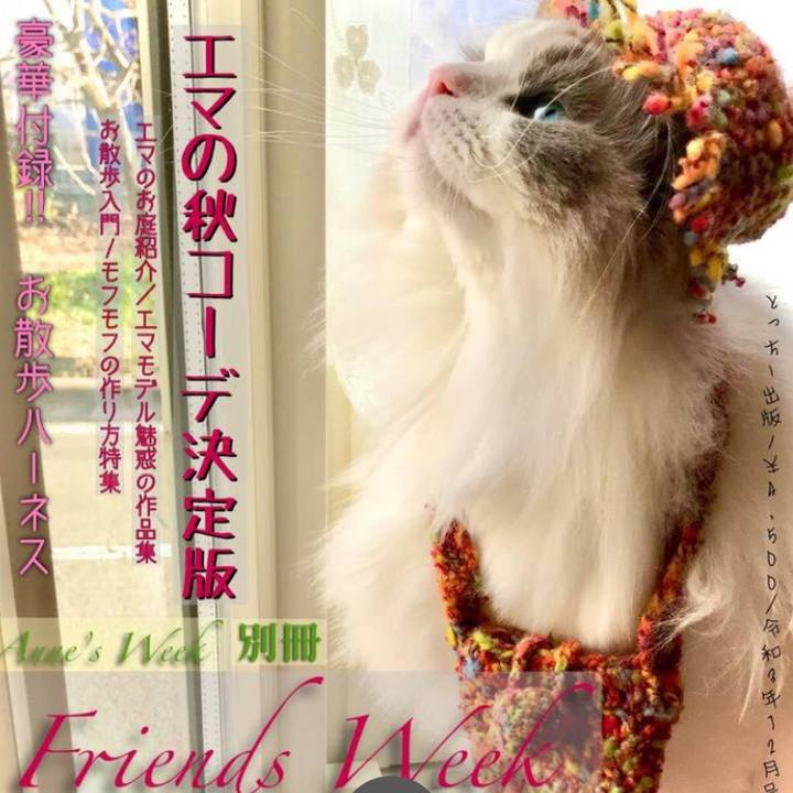 E59f065d aeba 4acb 9330 7a3369cb52a0 1635798143616