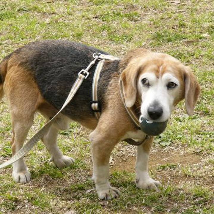 E59f4816 0232 43a0 9c38 fce808fb3cf7 1650069650869