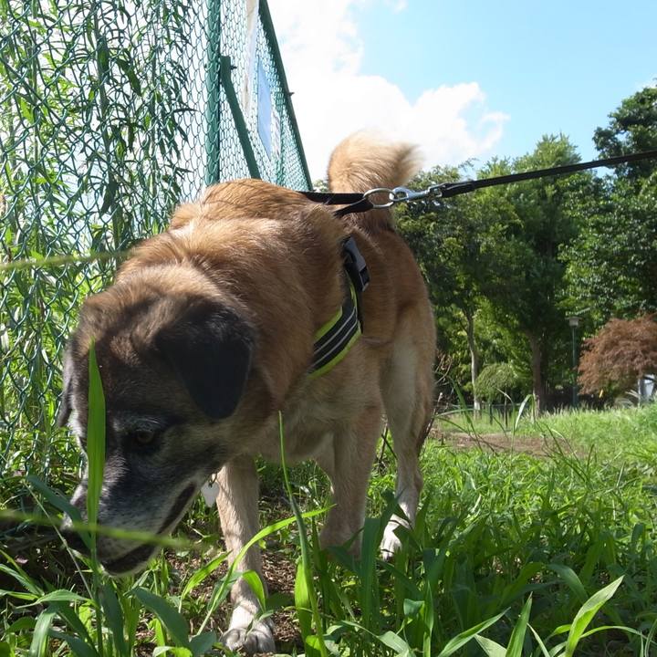 E59f49a2 32a8 4ffc b4b1 a66fe0cf3471 1588414115384