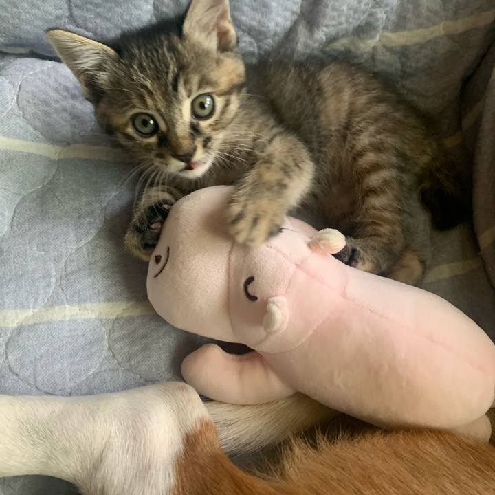 E59f51af 6fa3 4478 9982 28898016ba92 1589686829439