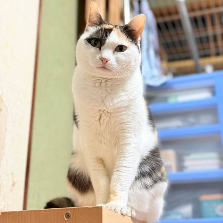 E59f8e80 c9a0 4958 84c1 d04d58c4daaf 1772330962143