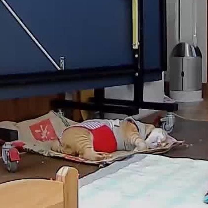 E59fd7d7 26f2 4bd5 aaed 16bcfa9af9bb 1601271531462