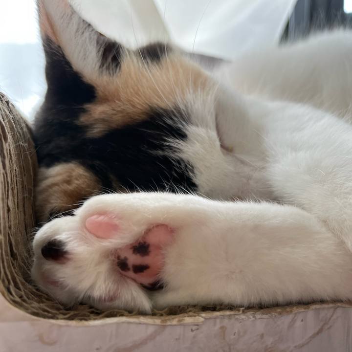 E5a00453 d2b6 4634 a5db 45559b866075 1719184199478