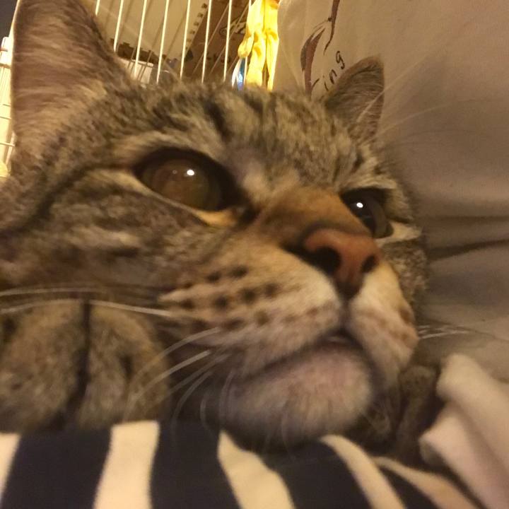 E5a009e2 b691 4b19 9979 dfcbc4e62957 1564348446711