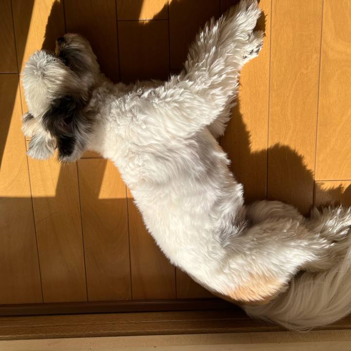 E5a01d99 276e 4249 867c 9234e1001445 1733367640266