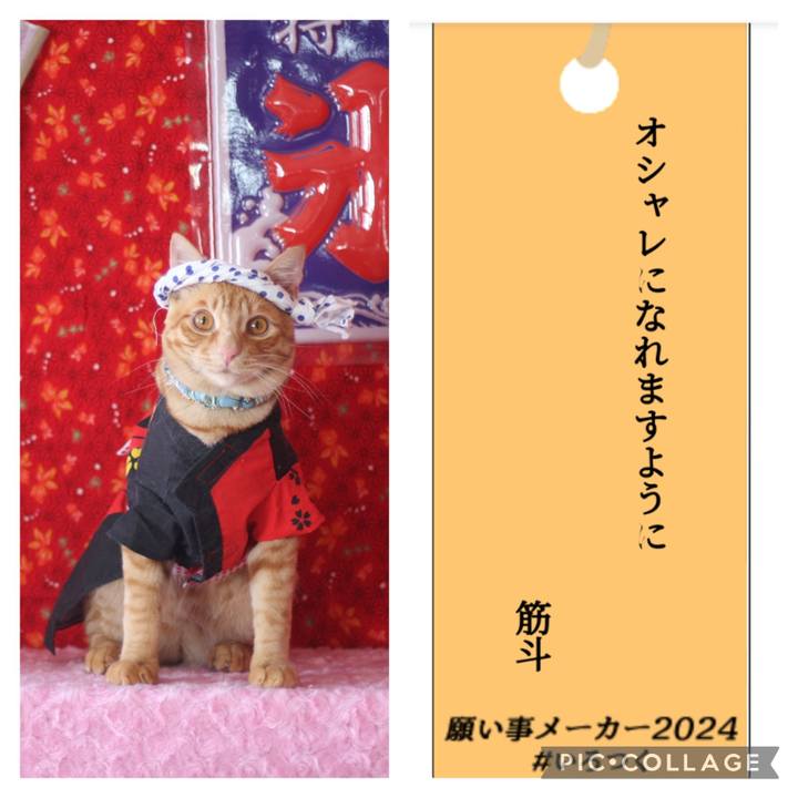 E5a050da 99a7 4287 8031 81479f956a16 1720421814345