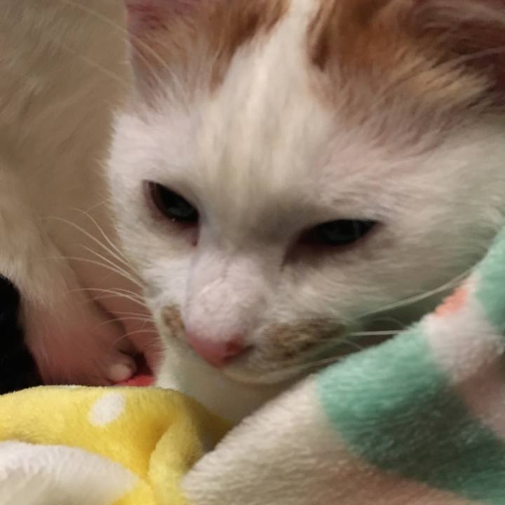 E5a06192 ed86 4015 9609 bcd92fc0adee 1516808262419