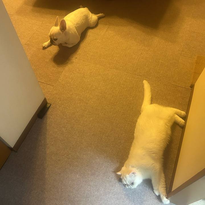 E5a06cd8 fb41 4356 bfe0 4b6f84e1e254 1757600554871