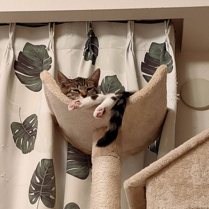 E5a077f7 553d 43f9 9d38 90f49e969304 1627302596378