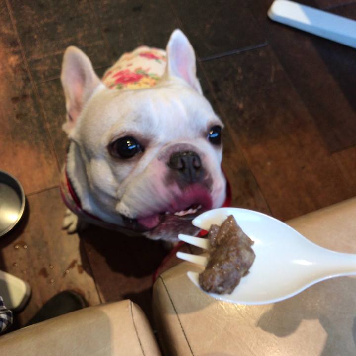 E5a092ed d1f3 4168 afa0 8ae50bf2541c 1509620768265