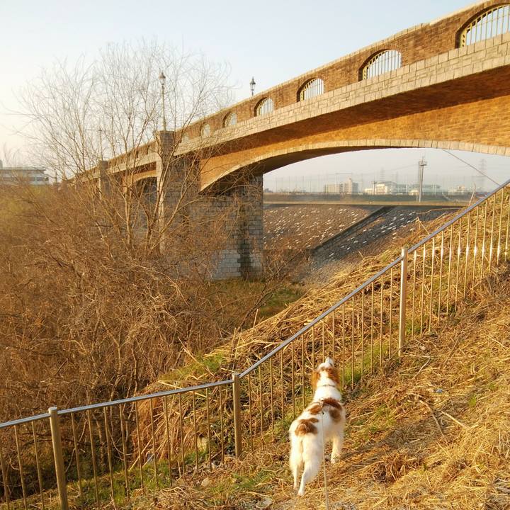 E5a0bb76 212e 4aed 831b a4e7c56e3946 1551484851422