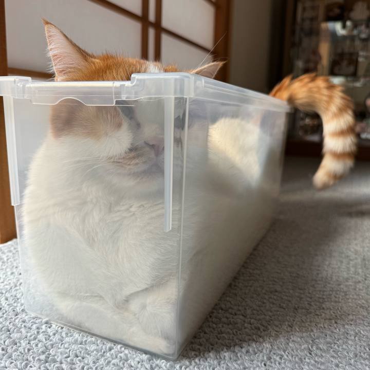 E5a0ec65 90ba 4d73 8f54 1d57e9d51ef8 1761613079820