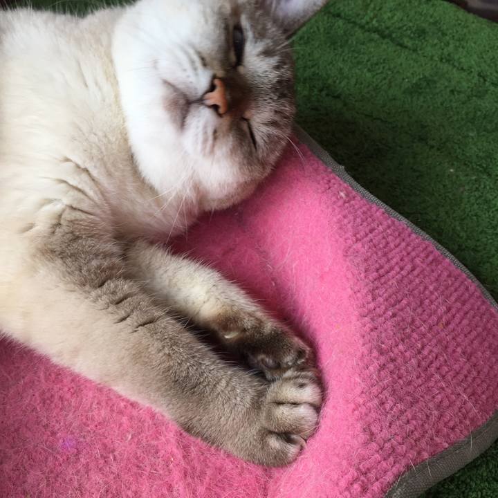 E5a0f131 ed10 4815 a942 c79371fc3d4d 1568851922673