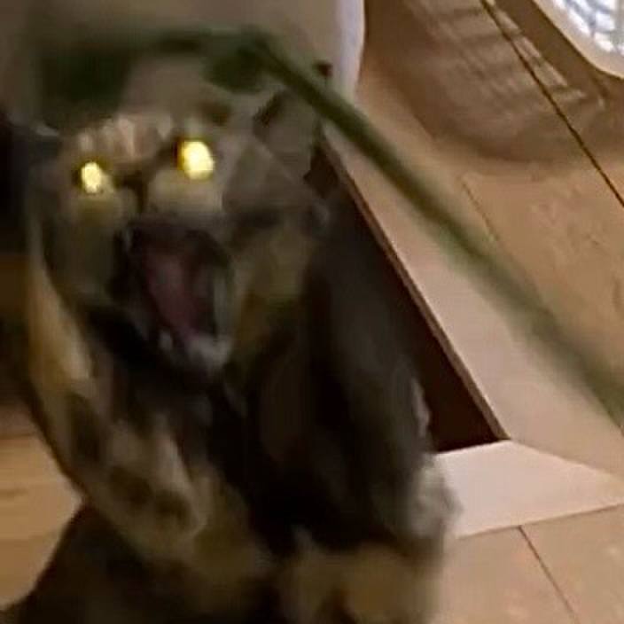 E5a0fe19 7844 47fd 9586 79e2545fa3e8 1738700470393