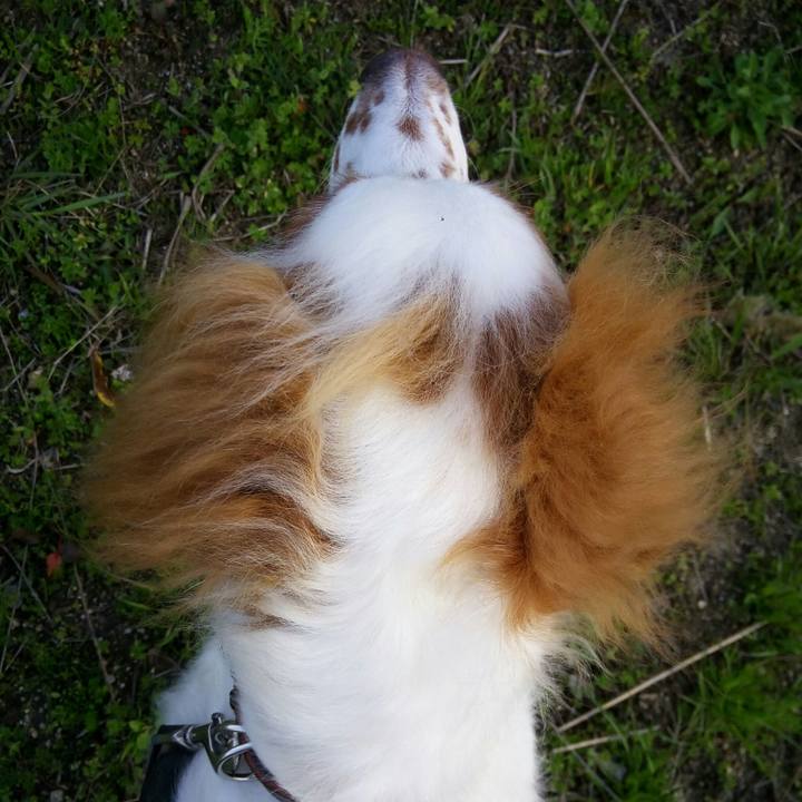 E5a100a7 f677 46c4 a01e 7a300b9af4ac 1522063368022