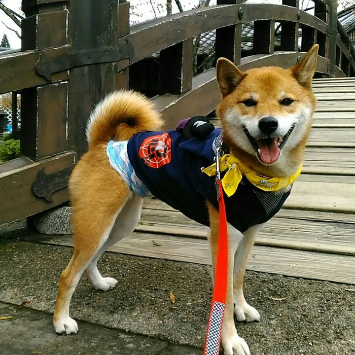 E5a1241a ffa1 41ca a697 a4900ca068df 1538793842663