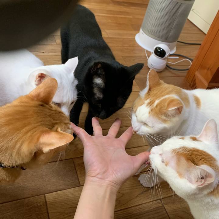 E5a134f4 6e74 4167 89c5 08c68ffa1b10 1588133501442