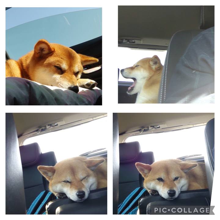 E5a14459 d0a8 4d0d 9f52 ac862bbb6428 1683016219228