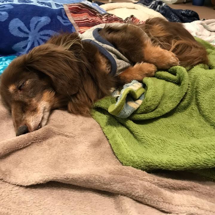 E5a147c3 f83e 4654 9e93 202b8e13d622 1551273772898