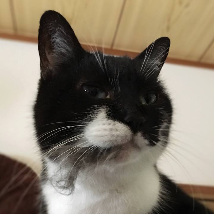 E5a17243 5fc4 41c8 8f10 e0ceea0e5322 1578759218459