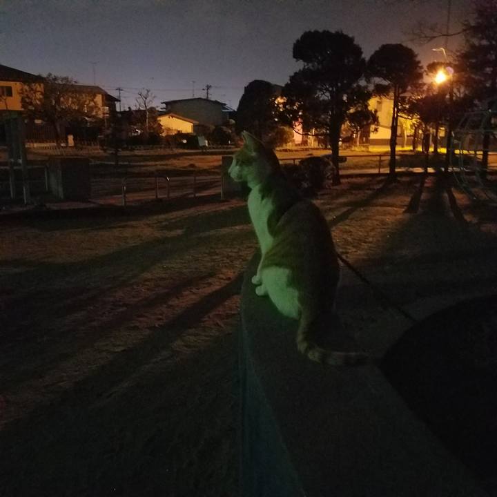 E5a1790a 1c08 406e 9d0c 2f167fc340c0 1511875201835