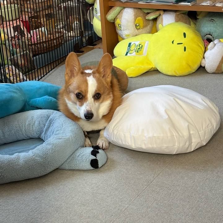 E5a190d6 3476 4cdf 9b5f 37a67f17c7ed 1764379064572