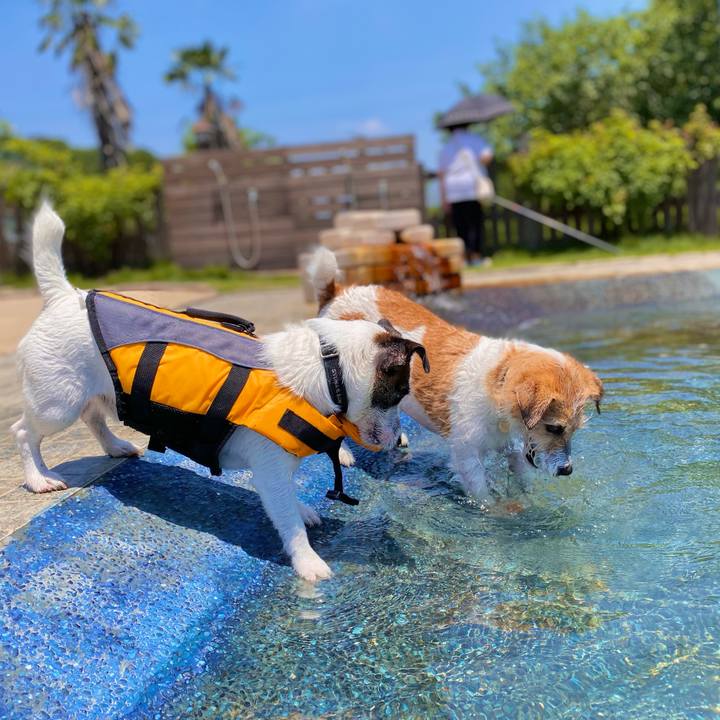 E5a1b0d1 e660 4a63 a892 fbd495568591 1623422145576