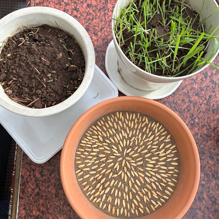 E5a1e02b 7a78 4b61 95b0 8c336af55b8e 1768629704455