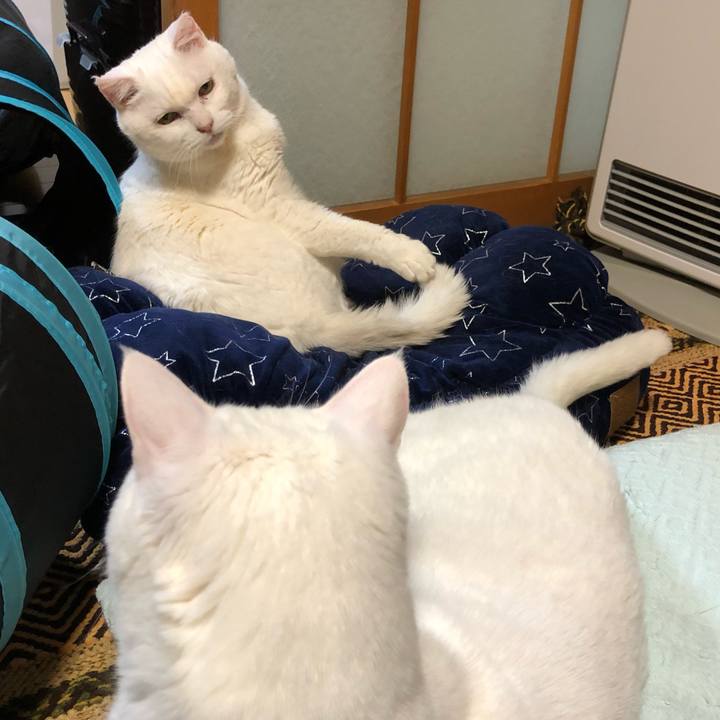 E5a1e79c 818e 4db9 8d6f 1f8a43f95b53 1552561026860