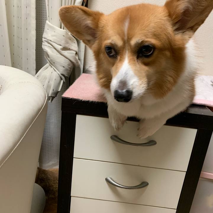 E5a20388 df86 4670 9ecf 57bf762fd9c9 1570358574200