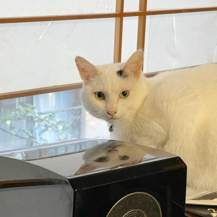 E5a2499e b340 4258 b4d2 388991d84f6a 1764888741754