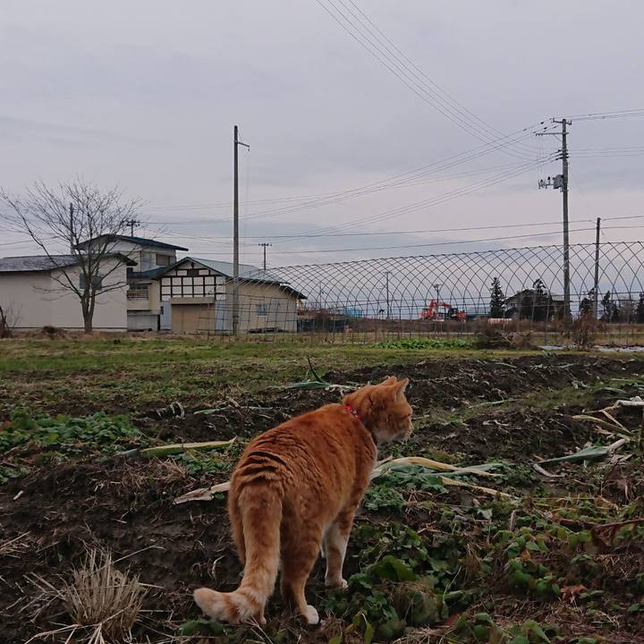 E5a2669d 6f40 4049 b3d6 564f5f3ca147 1576995210516