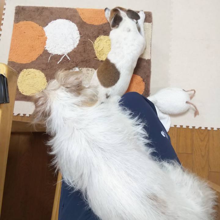 E5a26cc4 d896 487c 9f21 70aa6f12de32 1573168826024