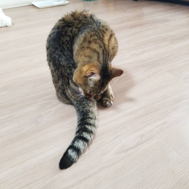 E5a29e31 eac5 4676 ac66 af7cd9927773 1555451231736