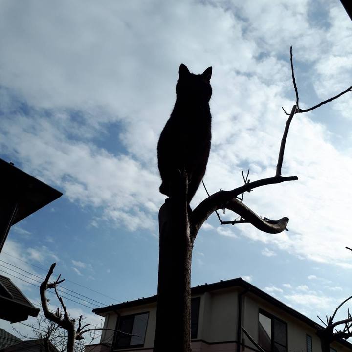 E5a2a1bf c82a 4ec4 8223 3ff969b21d19 1648095365245