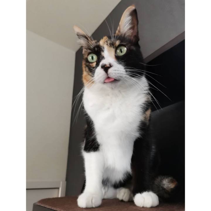 E5a2d953 bc84 40b4 8a85 90d0b3977b28 1632297104363